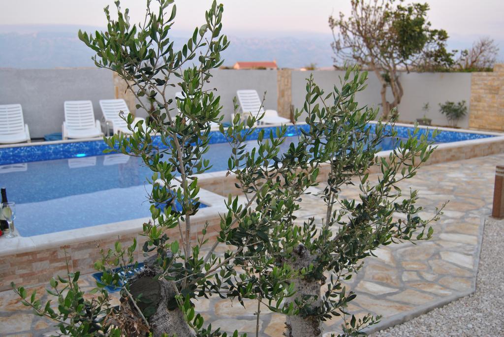 House With Swimming Pool Blue Diamond Apartman Povljana Kültér fotó